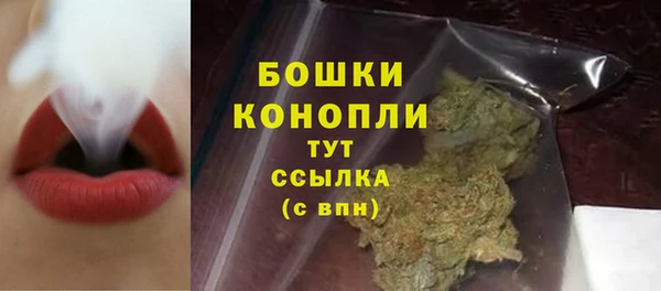 ГАЛЛЮЦИНОГЕННЫЕ ГРИБЫ Бикин