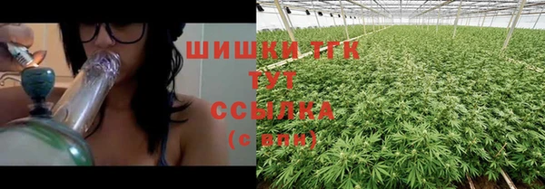 тгк Няндома