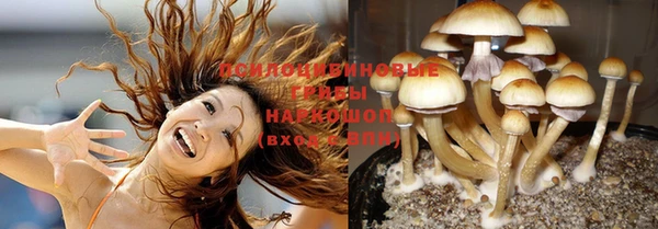 винт Нягань